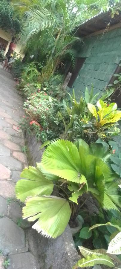Flower Inn Sigirija Zewnętrze zdjęcie