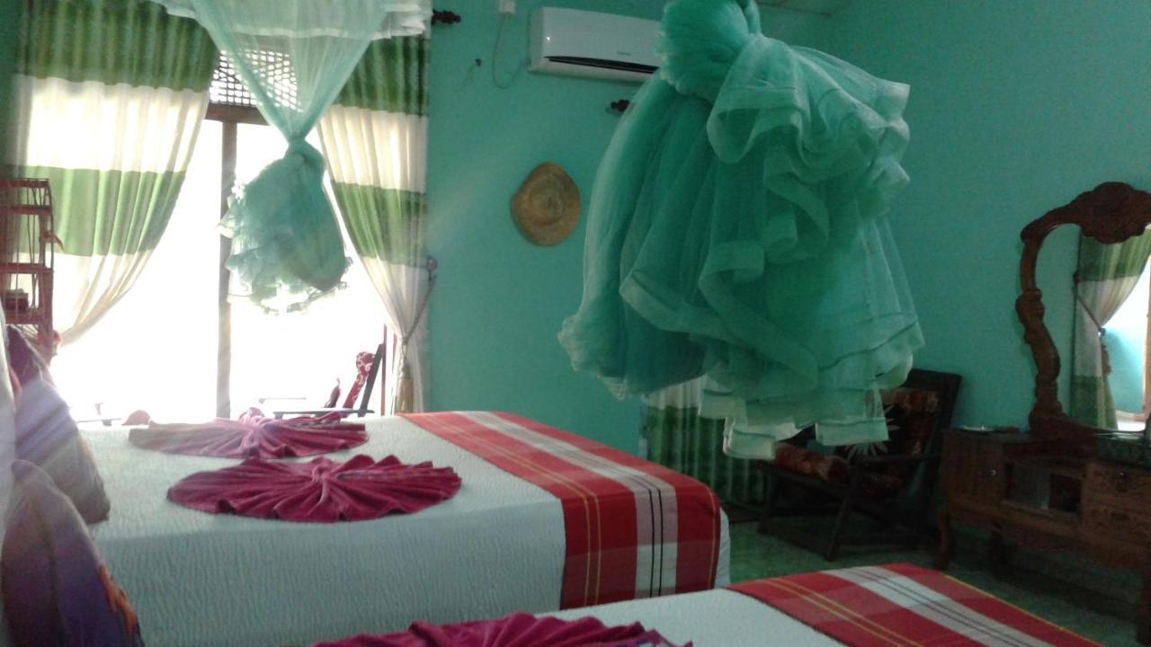 Flower Inn Sigirija Zewnętrze zdjęcie